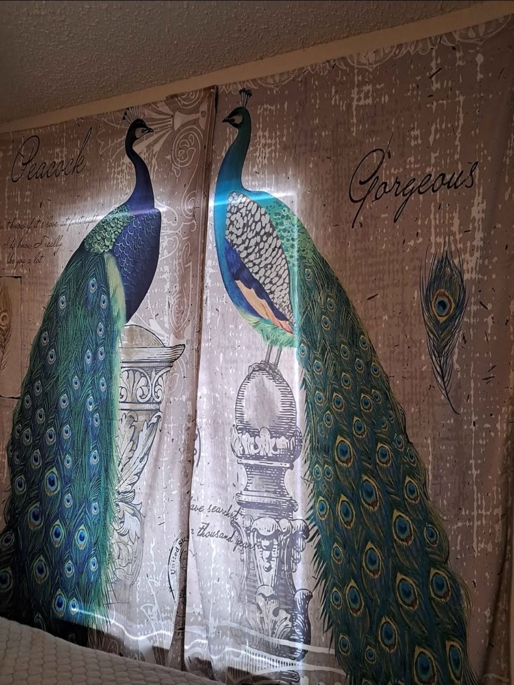 Peacock Wall Tapestry Curtain - Green & Teal Home Wall Decor